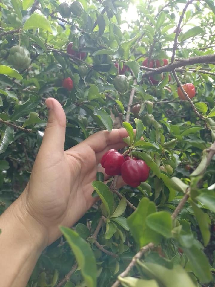Chacara Vo Chico Socorro (Sao Paulo)